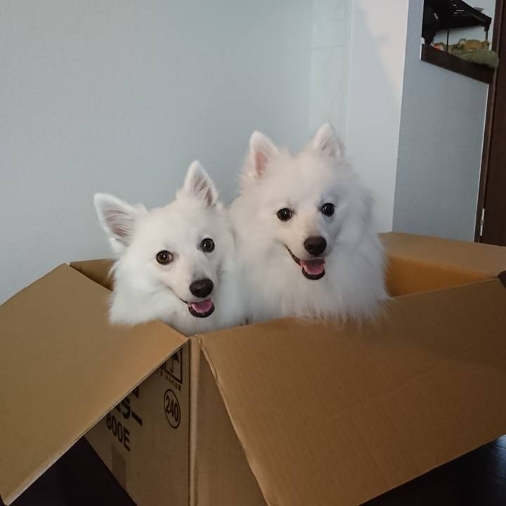 C52b04e5 4198 4a18 84e5 d4a821ca171a 1580448163060