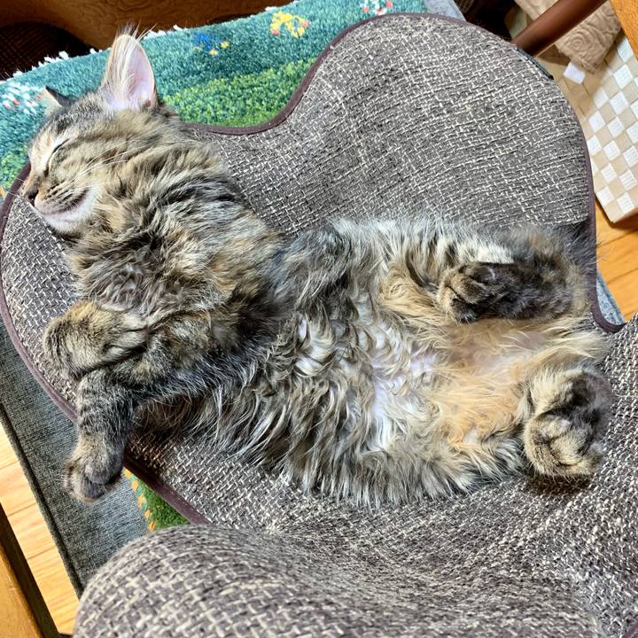 C52b2763 980e 4c0e 8327 df46554334cc 1644628918010