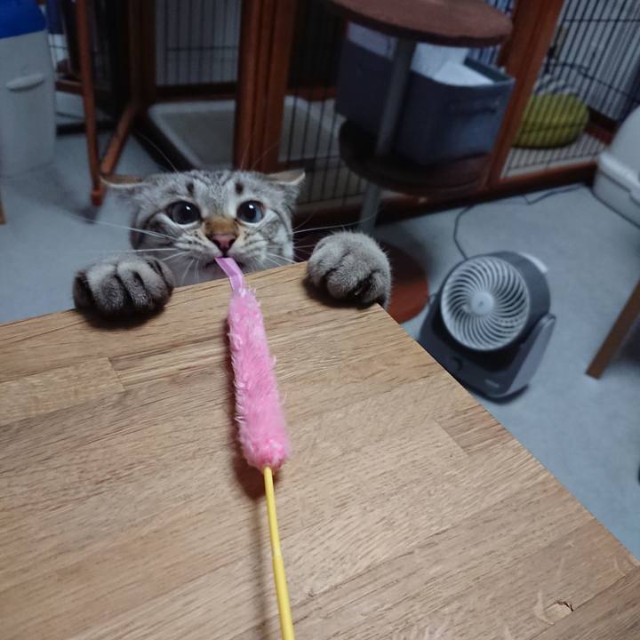 C52b4c0c aaca 42d9 9739 60daea3c061f 1561561362815