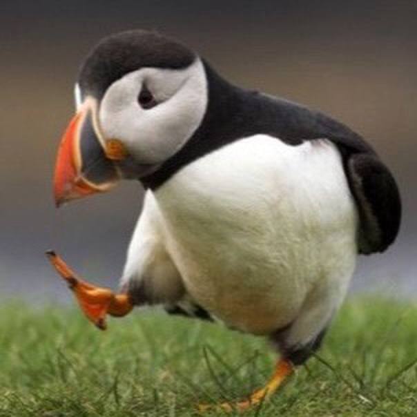 C52b7fbe 5afb 432c b8a1 46090b4ea69b 1564575903230