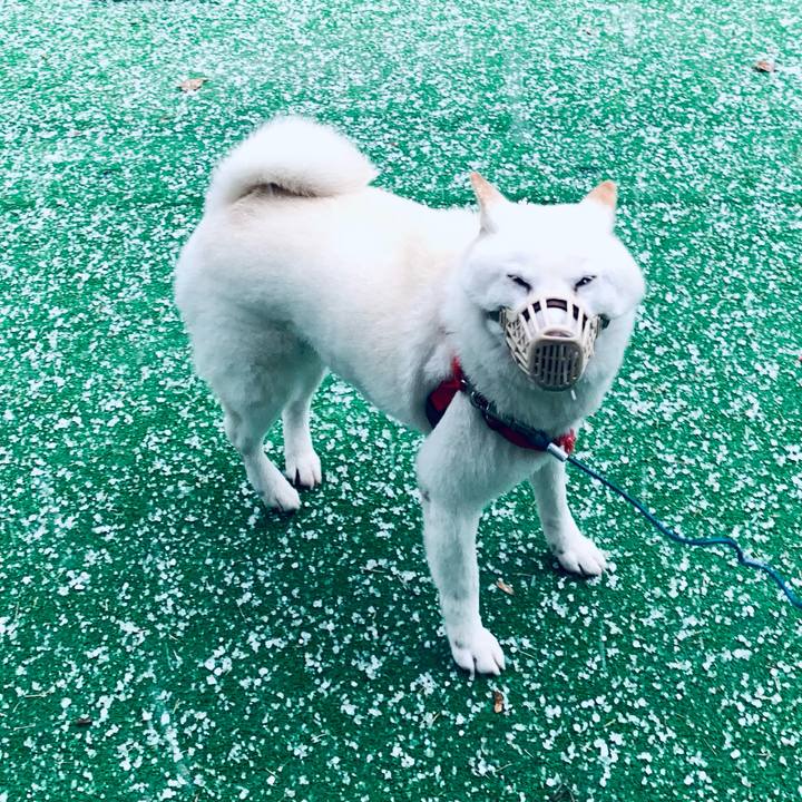 C52b9416 0eb5 47a7 9f43 23ff26309672 1604891647759