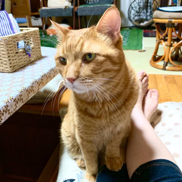 C52b9998 4661 4b22 8484 a52f5274caf0 1595762388147