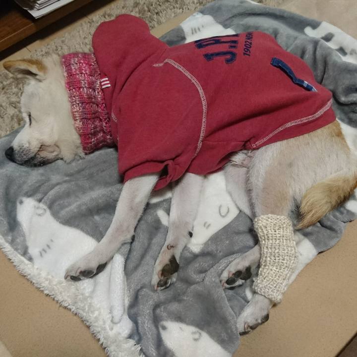 C52be2df a784 4e44 b471 c5a0ee4d8918 1516447599100