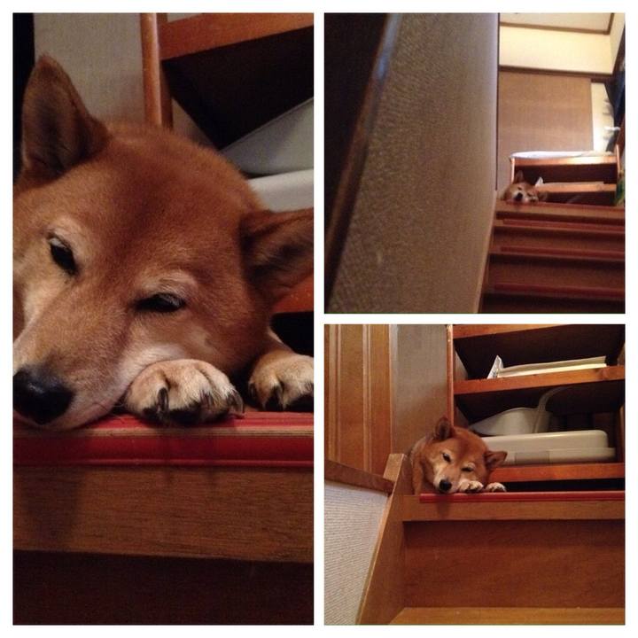 C52c3362 8f5d 4d9c a042 e0081bd754b9 1521882559127