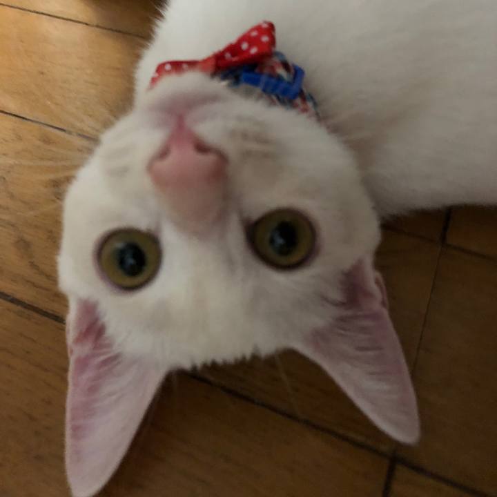 C52c3587 874c 4e52 8fbf c923ad0e906d 1599774479422