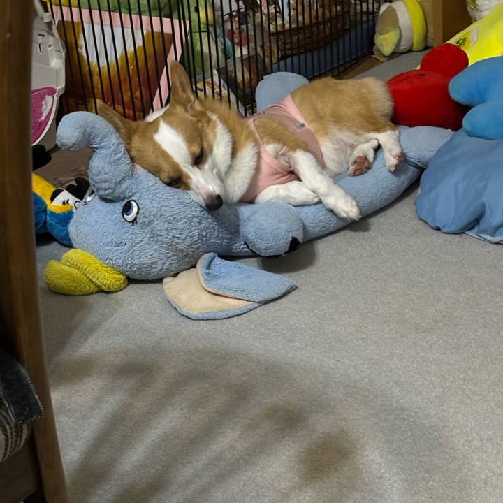 C52c6aad b67f 4bf7 9e44 6c8e5c6816ee 1757181442037