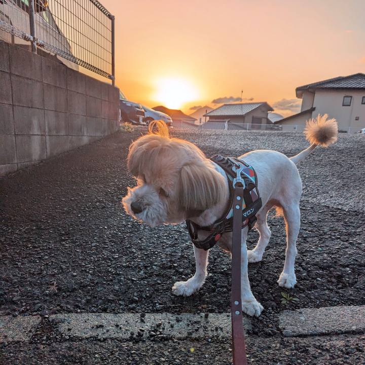 C52c7918 aebd 4c24 89a0 7dbc0b612903 1743631248928