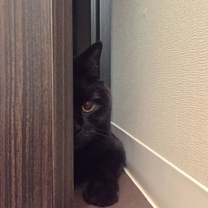 C52cb9cb a88c 41f3 8c93 51fcfd53a294 1564753928342