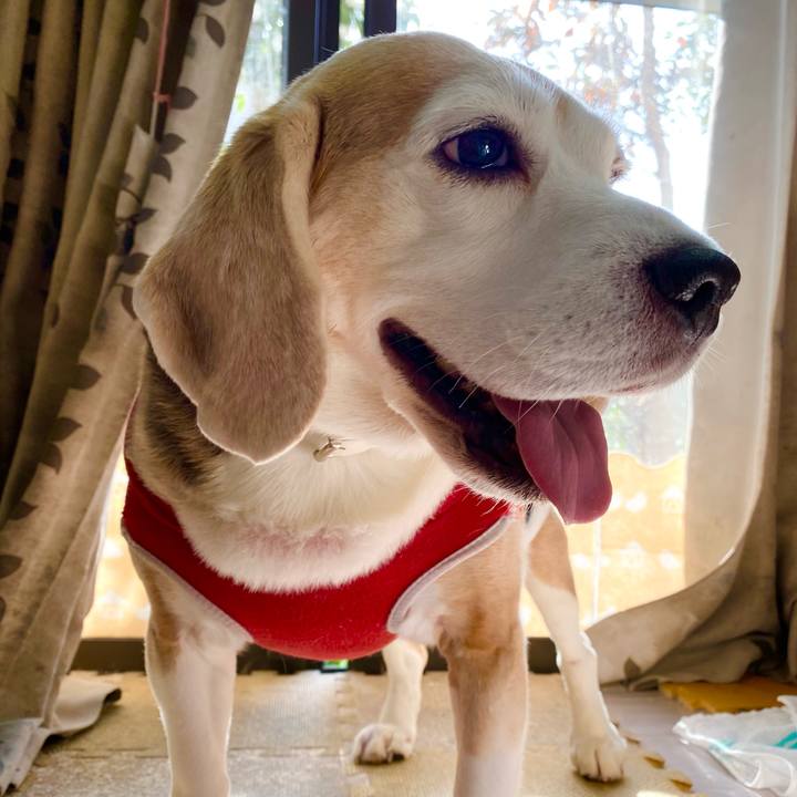 C52cc133 08d6 47b2 bab4 aa88e1778d2e 1605500109281