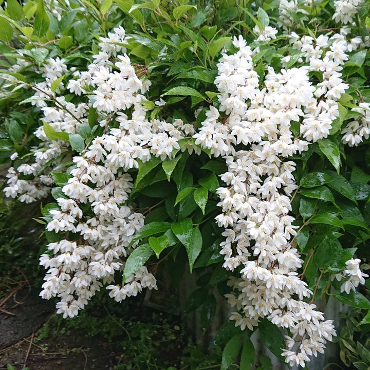 C52cd158 f32b 4b40 9743 ca373d5cbf03 1650773584994