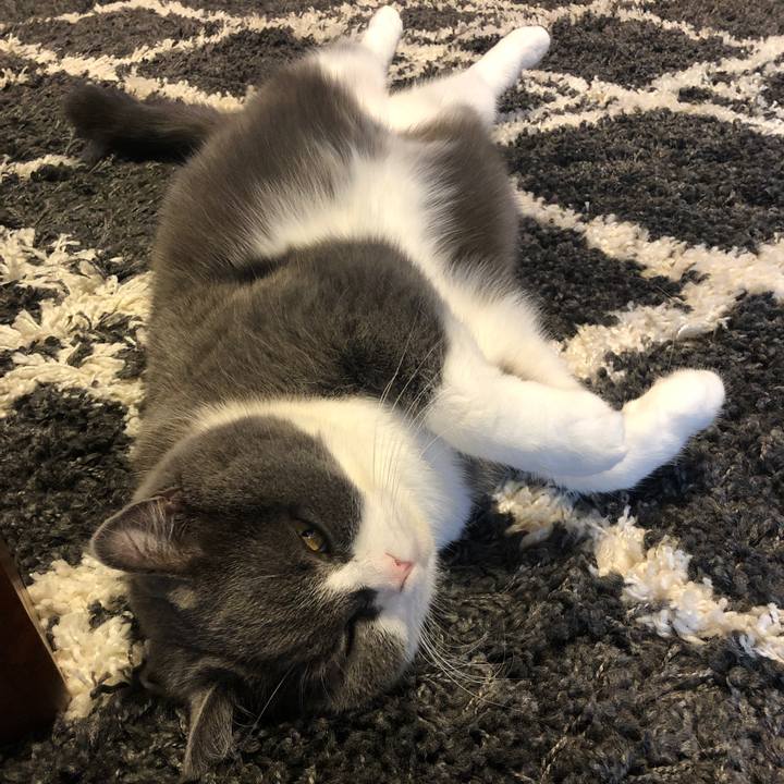 C52cd2cf cbfa 4ef6 9428 15e37ecd4e1d 1607843422952