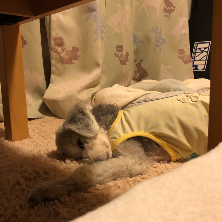 C52cf42c 96f5 4737 be6f a80aeb6832dd 1660315933304