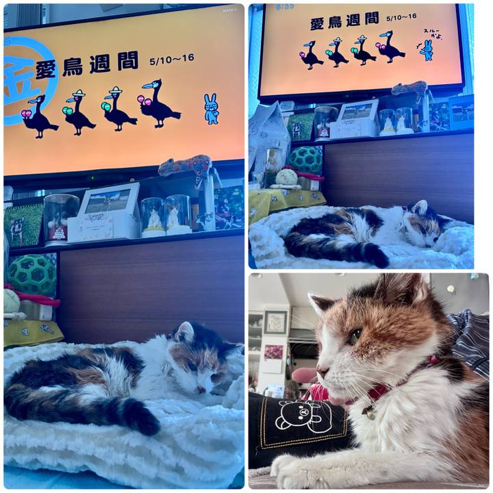 C52d165e c35e 46ca 9e4d 523a5400c7ea 1747346496620