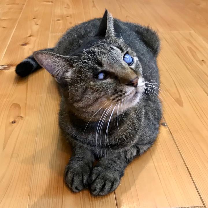 C52d42b8 5622 4bb1 9cd2 2464d53f9299 1600994418290