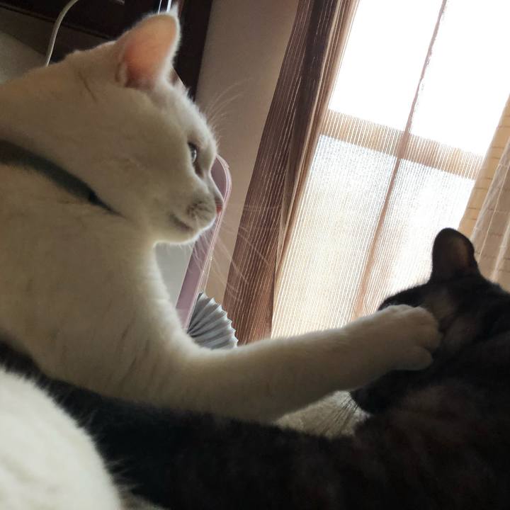 C52d4a90 fa87 4f1e 944d 938582f87d0a 1599724658817