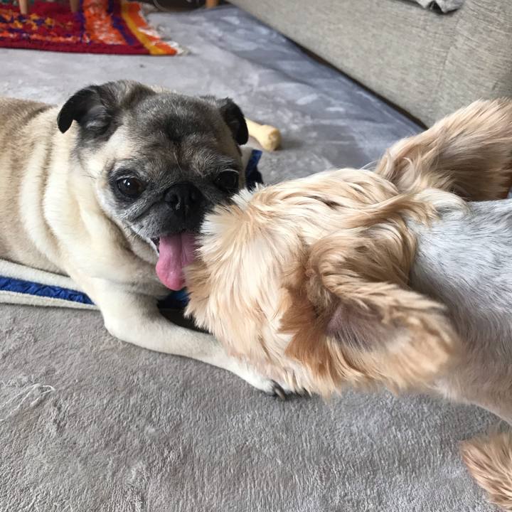 C52d8922 68ed 4dd7 a88a 42e9d78c1684 1594856847173