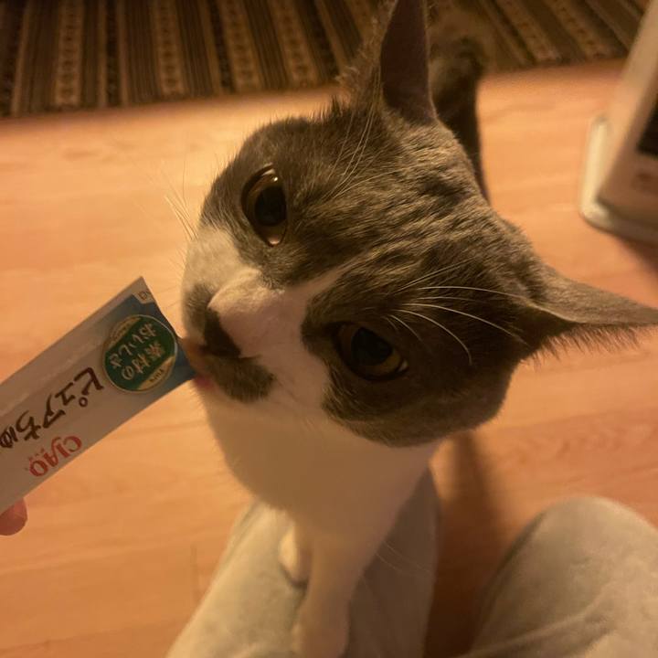 C52db4b6 4680 449f bfb6 a71996548ca3 1702469725924