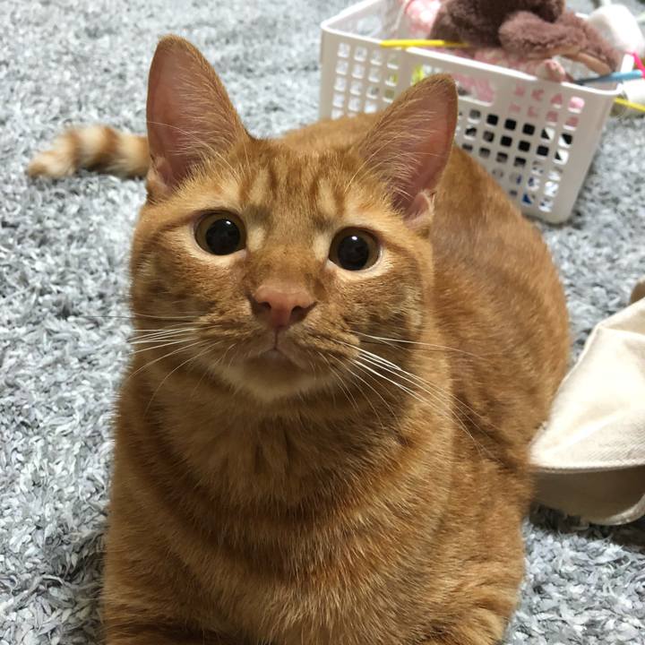 C52dd632 2828 4857 9bc4 0aacf3b549b7 1531318291640