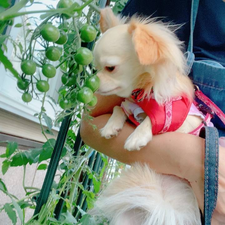 C52de5a6 3cb4 4527 9a34 10a827d8c27e 1626167615806