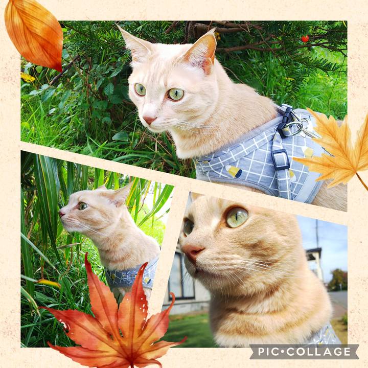 C52e6393 d5ec 4f37 82c9 e9a43b8cdadb 1665804021914