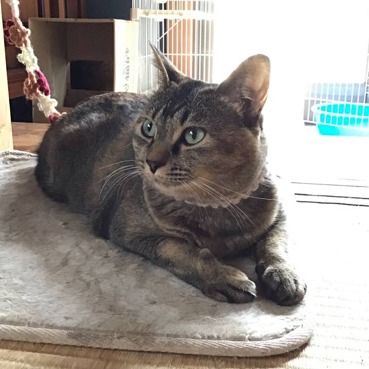 C52e763f 256e 4471 978b 5148651c9650 1652064300608