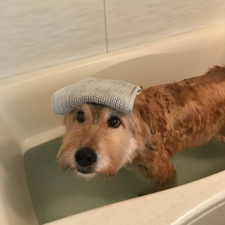 C52e81a9 aaff 4562 b723 3605a3f60721 1627454747042