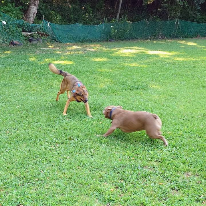 C52e84d3 ff08 406a 8733 c0aa688fd5bd 1753491061082