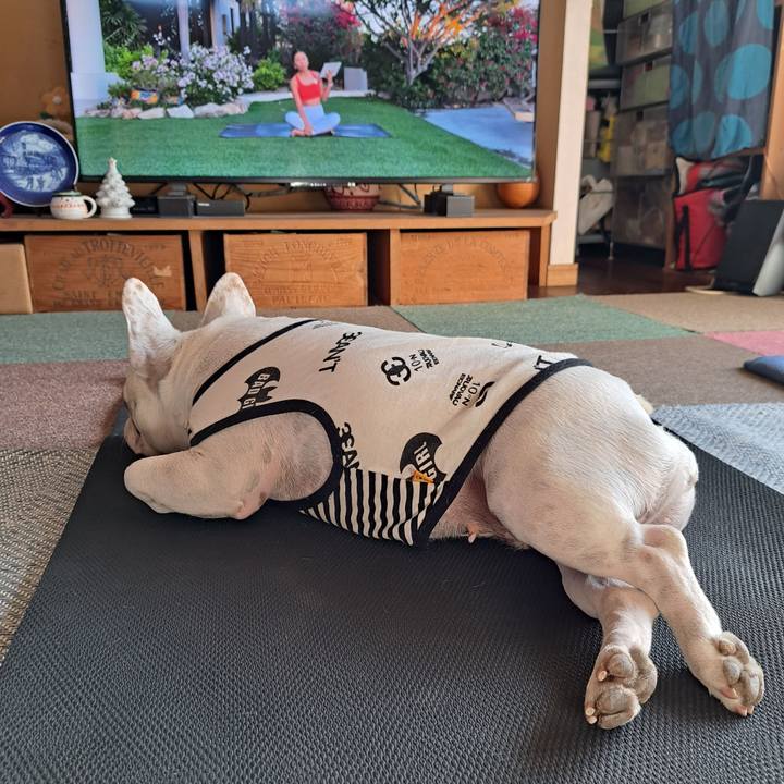 C52e9f46 0f9e 4d8e a146 5efecae66cd1 1702173768510