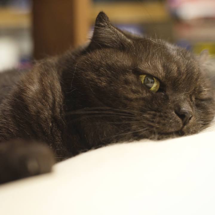 C52ea440 0606 4304 b5f5 442631398c39 1624895407674