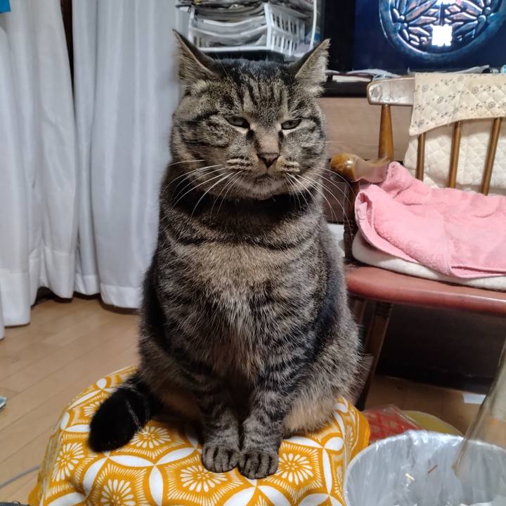 C52ecdc4 8746 45d0 96e6 a42be328591a 1704789148519