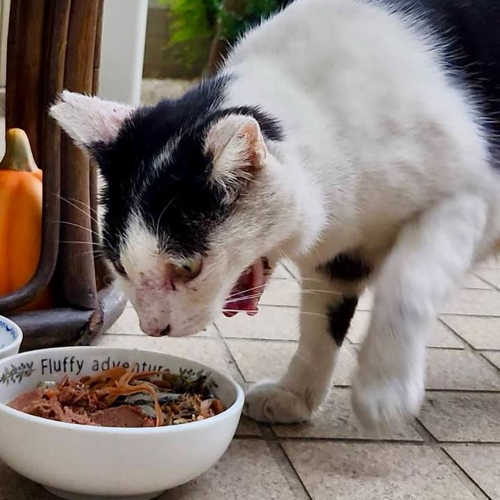 C52ee4af 821a 4376 9b60 57776ff694d5 1759231781275