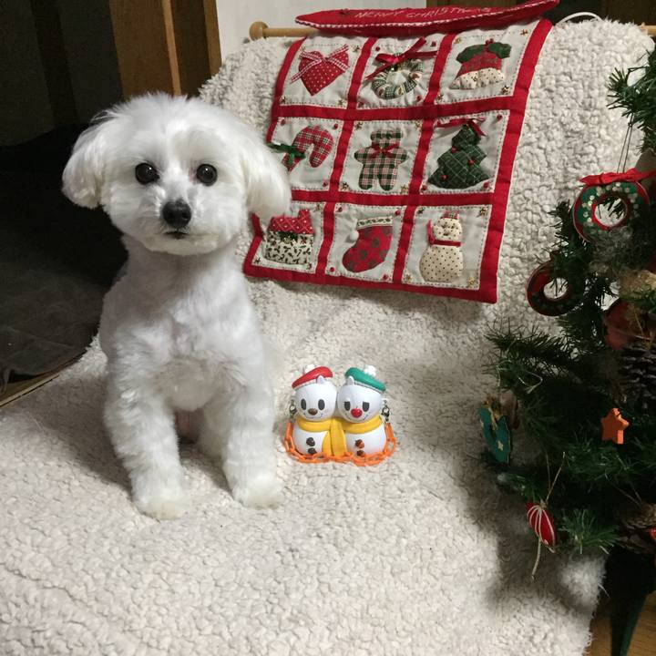 C52eee56 2b85 4455 859d 861806b44521 1514111265209