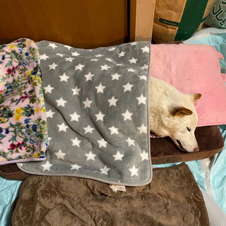 C52ef7db 549d 4e35 813b b3861dd992f0 1640007373637