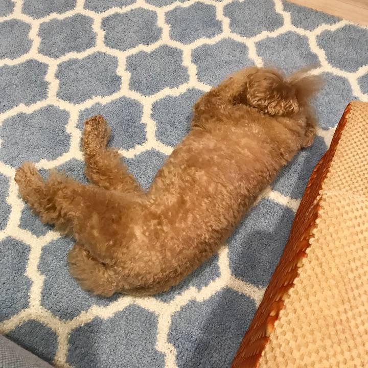 C52f6029 93ae 4394 bd51 060b0c120ed8 1547296328830