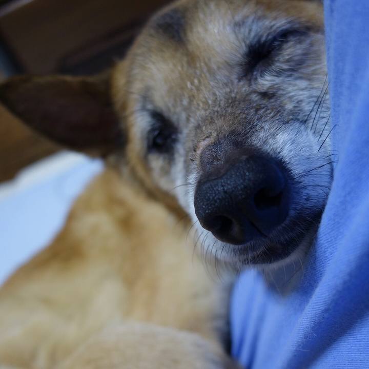 C52f6217 4234 4aff a9fd ab419d90a404 1566684999320