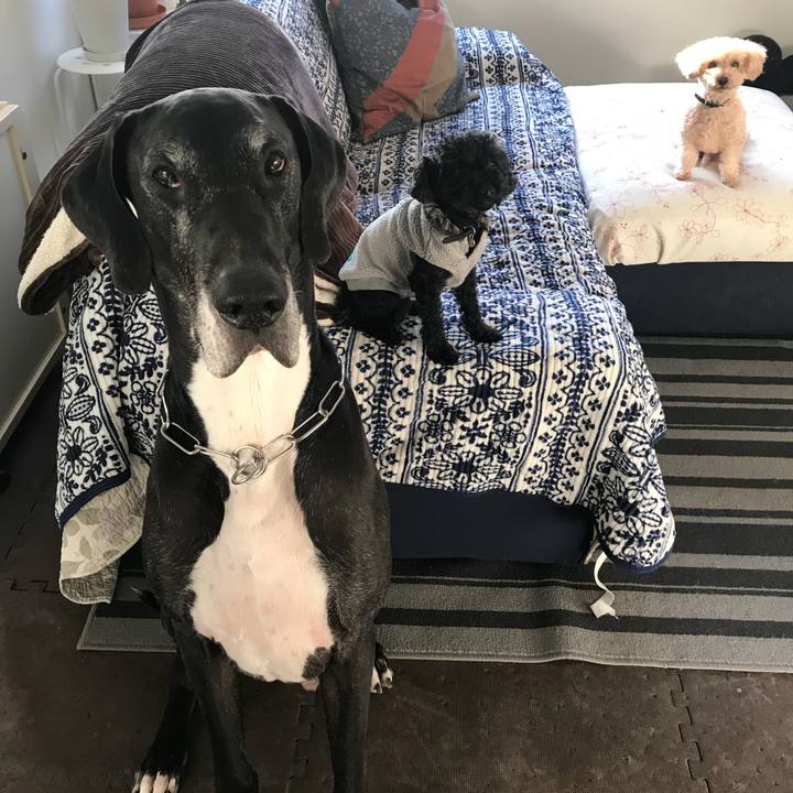 C52f8ca0 d665 4499 a15f 49ac1486a46d 1516057405203