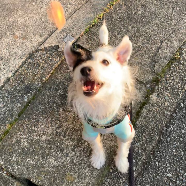 C52fc59d fbfd 4925 bcbf 6d6eb8eed9b1 1666943590438