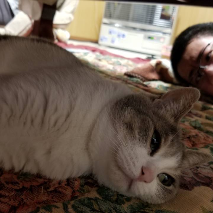 C52fd576 6442 48c1 a13a f8909737753b 1651240267967