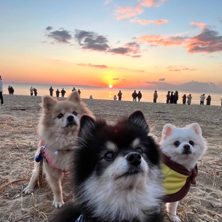 C52fe6b9 923e 47c3 b2c7 7f94e6bf5f0d 1735745123221