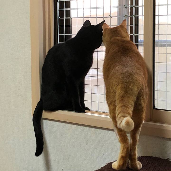 C52fefe9 1127 4295 832f 1a795b6d3afd 1663446962863