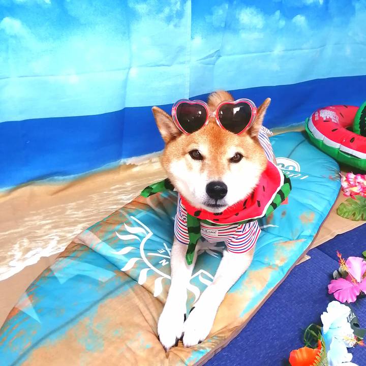 C5301837 a43f 4f75 a861 bd1f4ecf8541 1661950530958