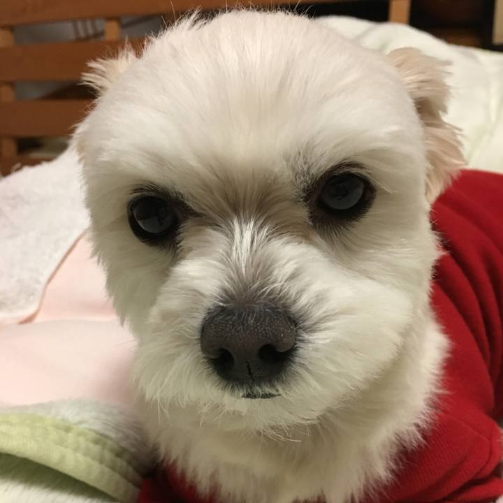 C53031f3 3ae8 4d8c a0bd 6ef92f3c9821 1552991510314