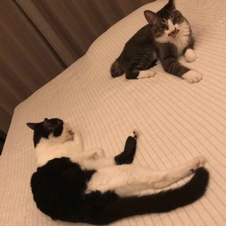 C5303524 ab38 4dc0 8362 f6538e7410cc 1559569980270