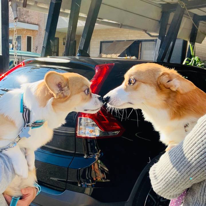 C5303536 69b4 4ec8 9b8a a36e2fa70642 1575809918434