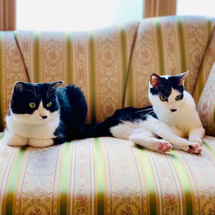 C5306c58 d2dc 43ac bf07 4331466f8069 1564980521993