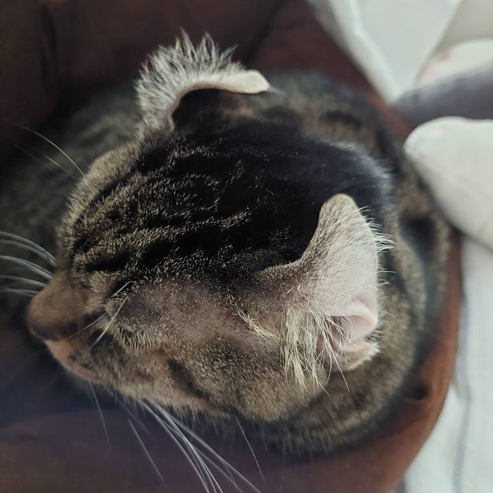 C5308501 2754 4a32 bd52 cba60bcbf7ee 1697243263147