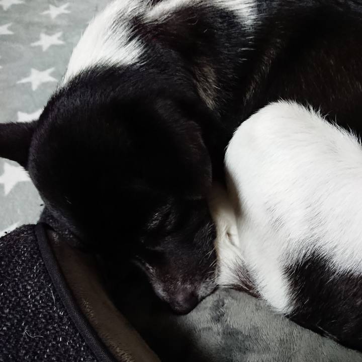 C5308ce7 6680 4c8f a566 583ea30829af 1521643860840