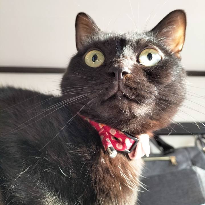 C5308fea d5ab 4f21 b286 d989771789b5 1677191228214