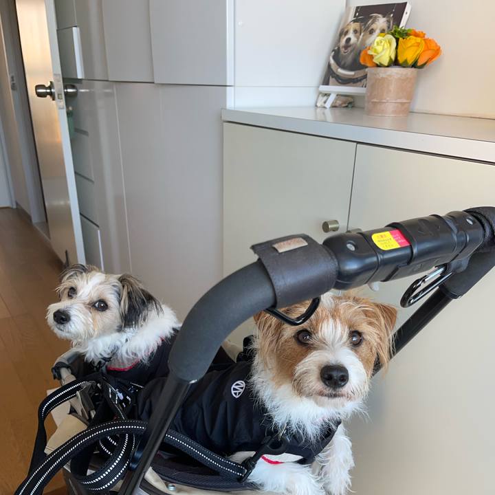 C530ab77 3a42 4a08 a3e5 8f2f404b2b33 1764141226516