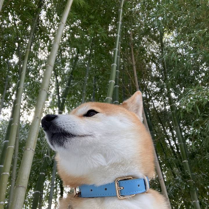 C530b307 89da 46e4 a7f7 4e415c3d63ef 1767438322859